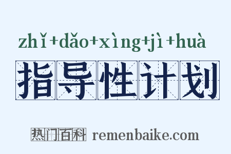 指导性计划是什么意思的图片